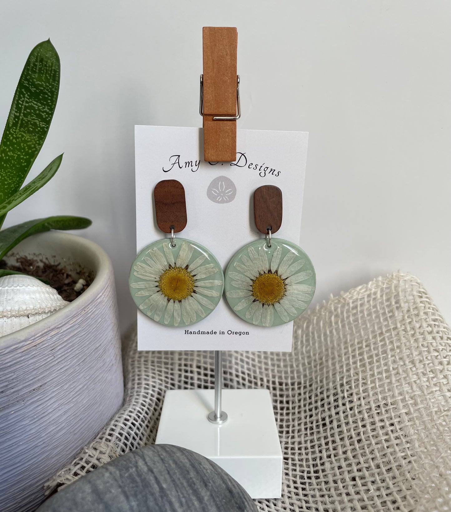 Daisy's