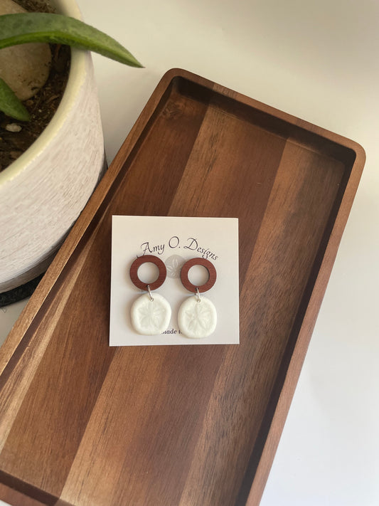 Sea Biscuit sand dollar