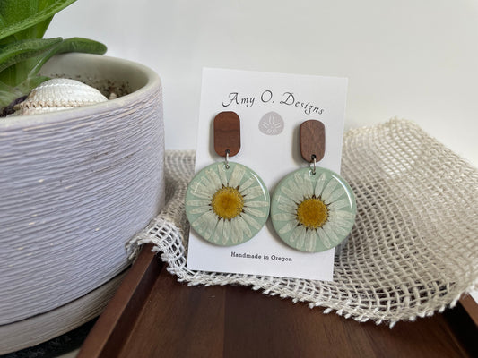 Daisy's