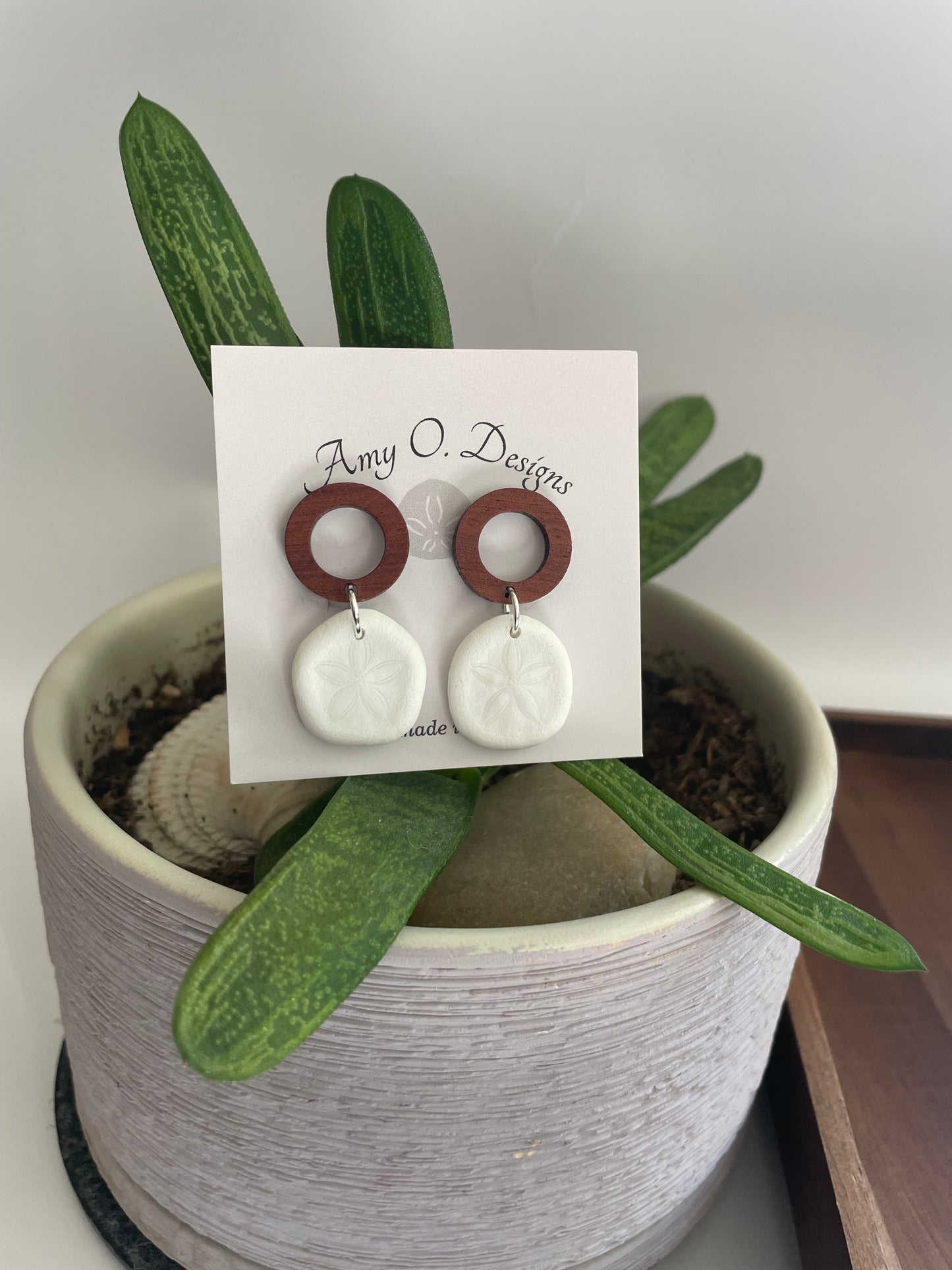 Sea Biscuit sand dollar